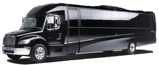 Mini Coach